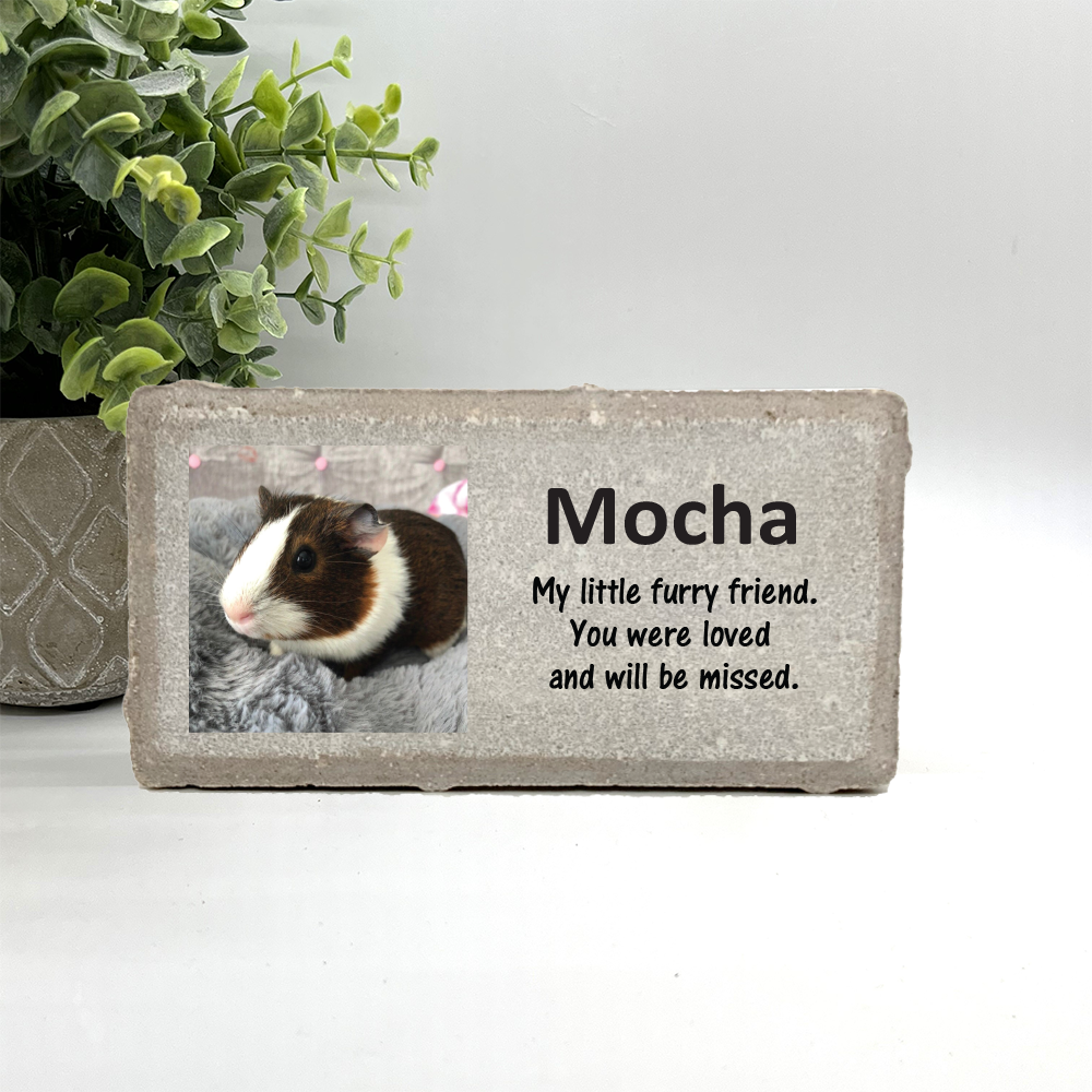 Guinea pig discount memorial stone