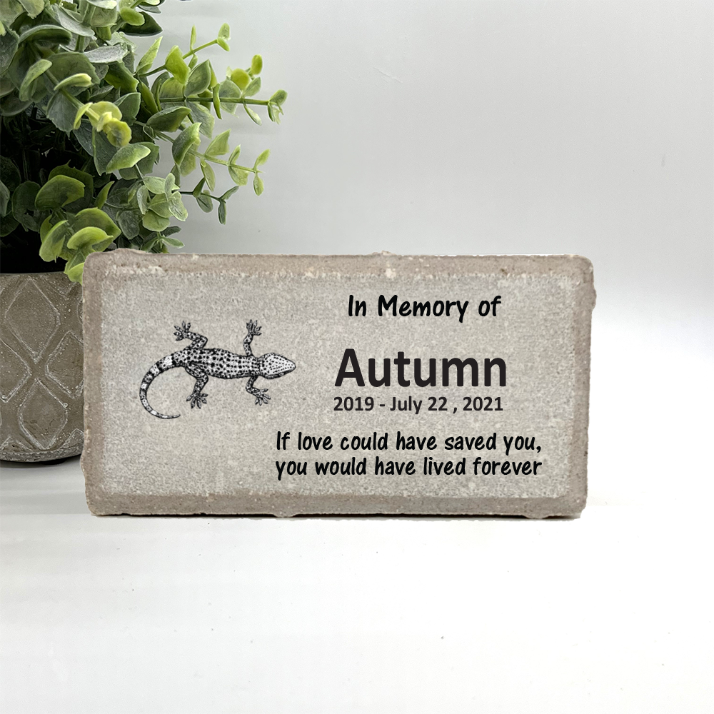 Personalized Spotted Gecko Memorial Gifts with a variety of indoor and outdoor stone choices at www.florida-funshine.com. Our Custom Pet Memorial Stones serve as heartfelt sympathy gifts for those grieving a pet loss, ensuring a lasting tribute cherished for years. Enjoy free personalization, quick shipping in 1-2 business days, and quality crafted memorials made in the USA.