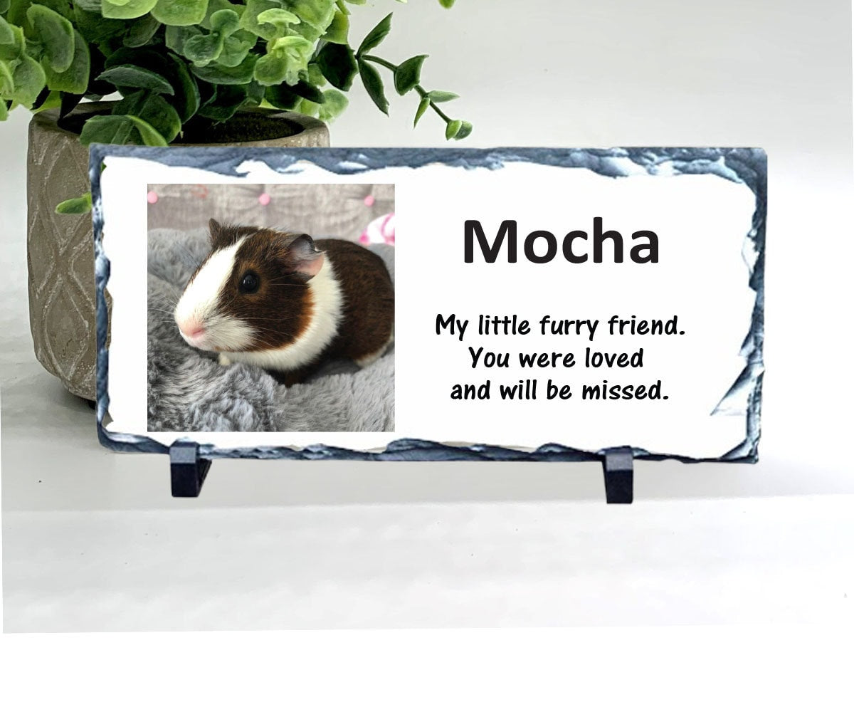 Personalized Guinea Pig Photo Memorial Gifts with a variety of indoor and outdoor stone choices at www.florida-funshine.com. Our Custom Pet Memorial Stones serve as heartfelt sympathy gifts for those grieving a pet loss, ensuring a lasting tribute cherished for years. Enjoy free personalization, quick shipping in 1-2 business days, and quality crafted memorials made in the USA.