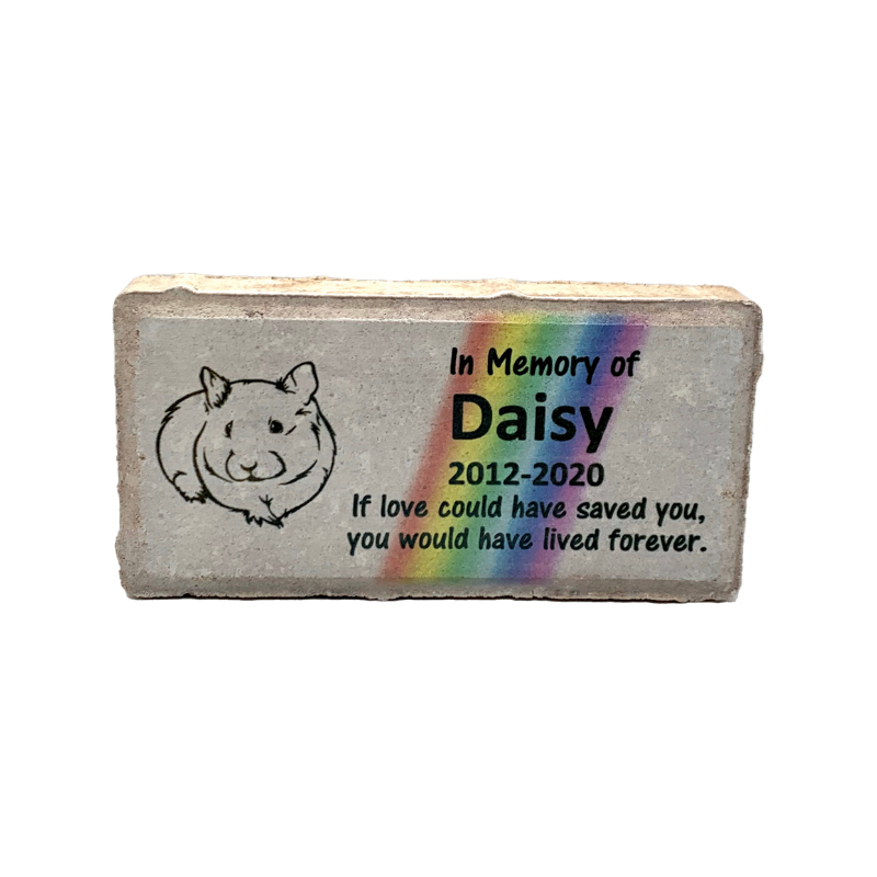 Guinea Pig Memorial Stone - Rainbow Bridge - If love could have saved you, you would have lived forever