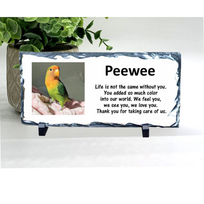 Bird Memorial Stone with Photo - Completely Personalized