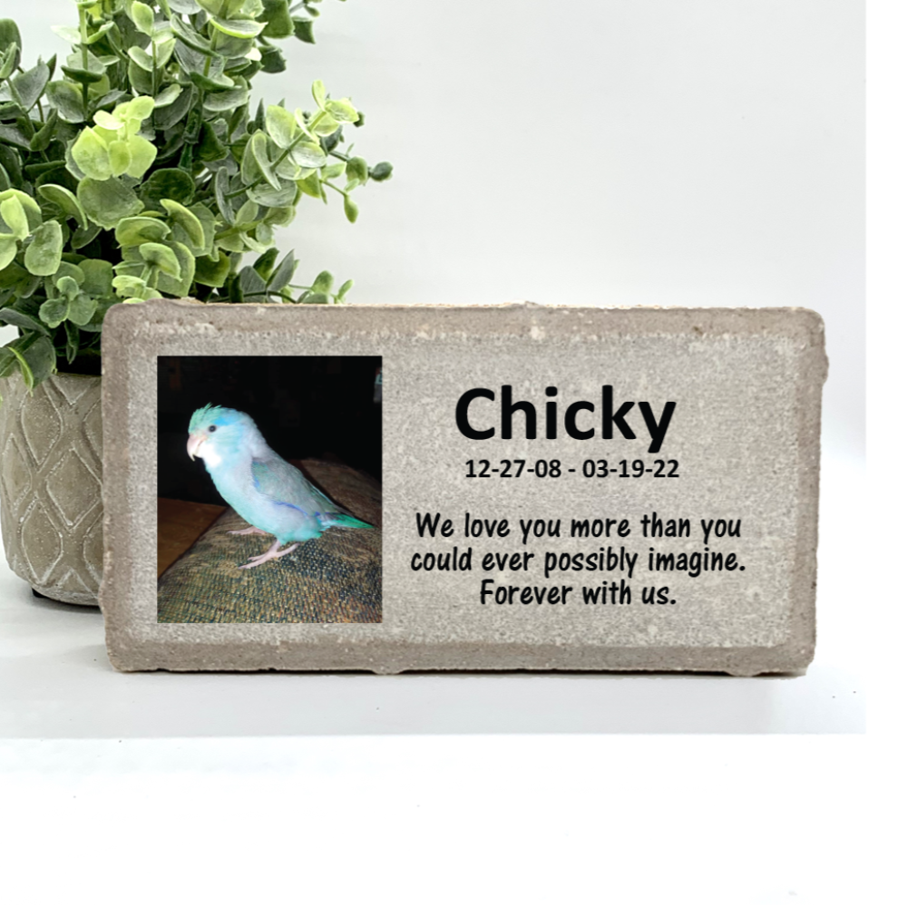 Personalized Bird Photo Memorial Gifts with a variety of indoor and outdoor stone choices at www.florida-funshine.com. Our Custom Pet Memorial Stones serve as heartfelt sympathy gifts for those grieving a pet loss, ensuring a lasting tribute cherished for years. Enjoy free personalization, quick shipping in 1-2 business days, and quality crafted memorials made in the USA.
