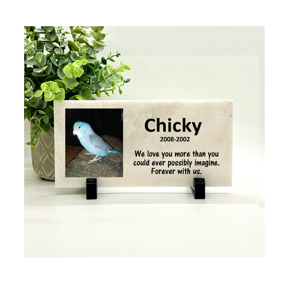 Bird Memorial Stone with Photo - Completely Personalized