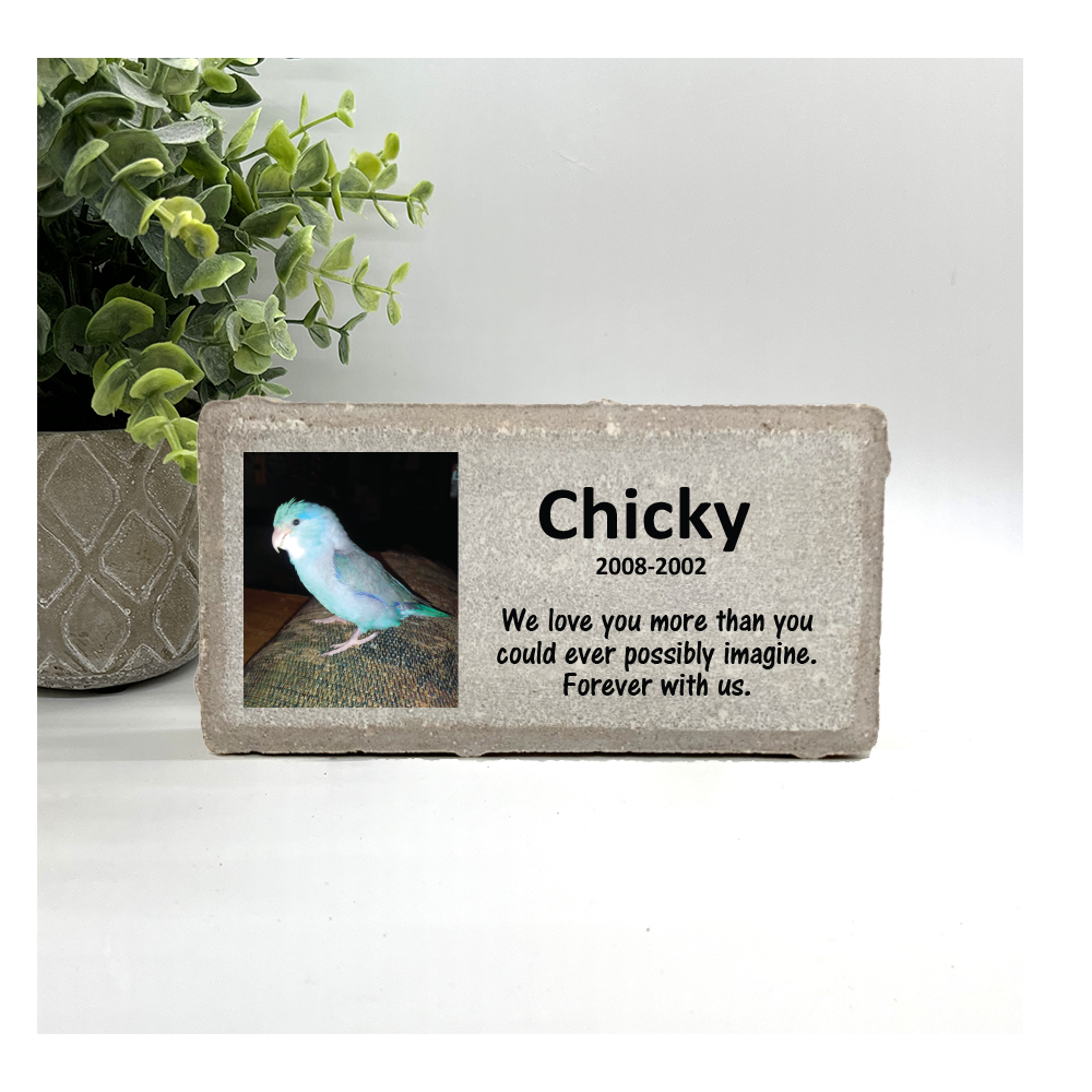 Custom Photo Pet Memorial Stone - YOUR FAVORITE PHOTO ADDED