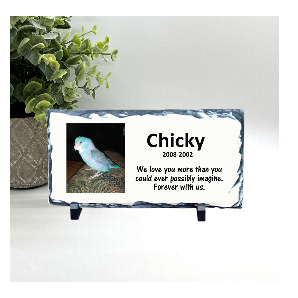 Bird Memorial Stone with Photo - Completely Personalized