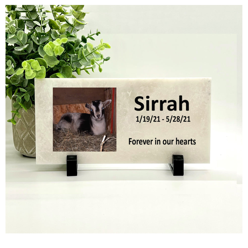 Goat Memorial Stone - Personalized with your photo and custom saying