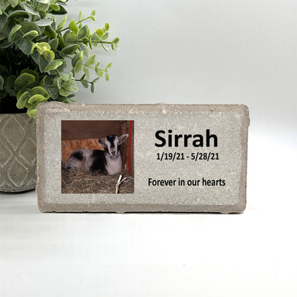 Goat Memorial Stone - Personalized with your photo and custom saying