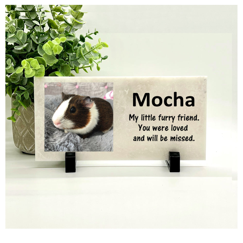 Guinea Pig Photo Memorial Stone - Personalized Pet Loss Gift