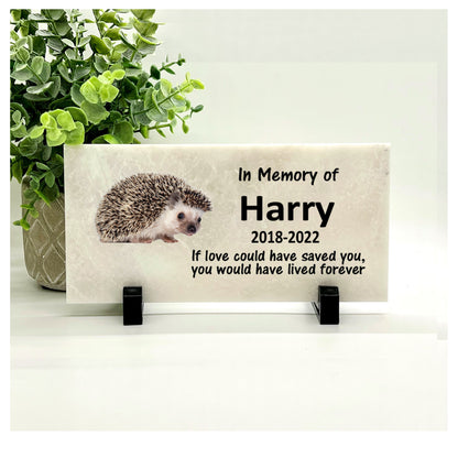 Hedgehog Memorial Stone - Personalized Pet Keepsake - Loss of Hedgehog Sympathy Gift - Pet Loss Gifts - Hedgehog Condolence Gift - Pet Burial