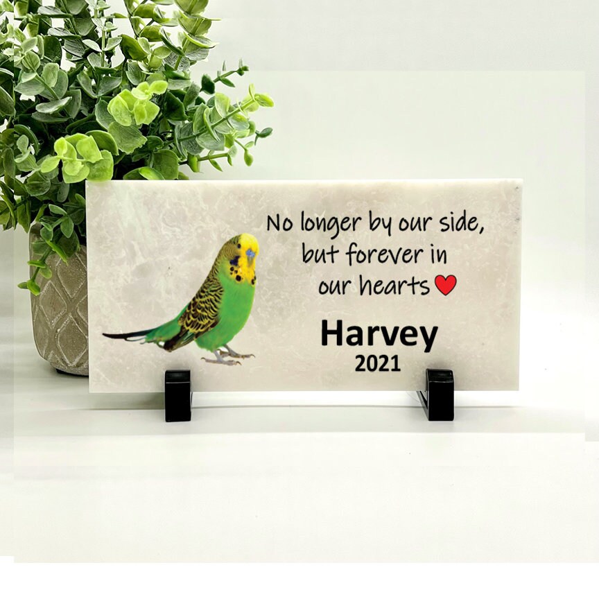 Parakeet Memorial Stone- Green Parakeet Memorial - Personalized Bird Keepsake- Bird Sympathy Gift- Pet Loss Gift- Green parakeet