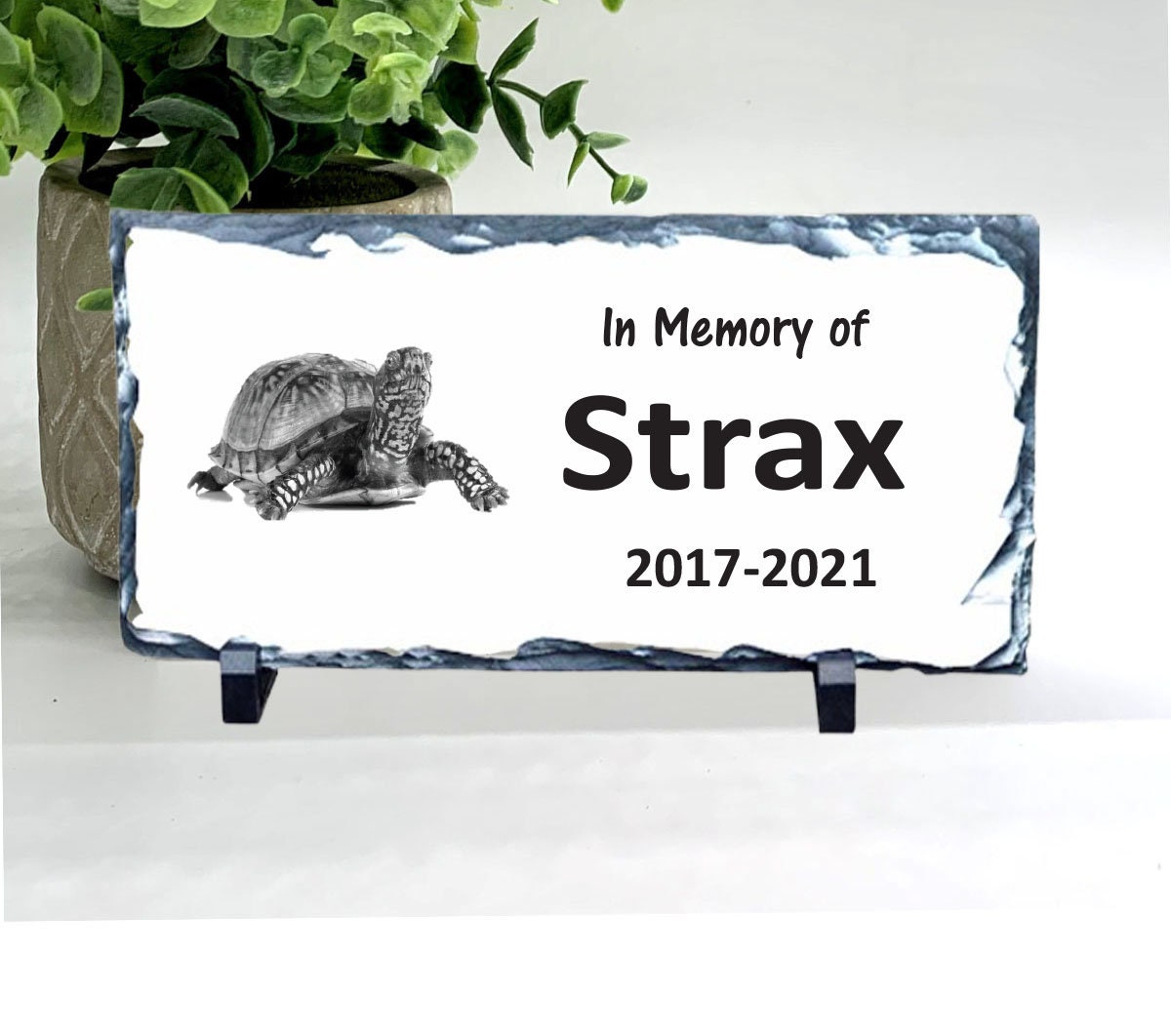 Turtle Memorial Stone - Personalized Pet Keepsake - Turtle Sympathy Gift - Pet Memorial Stone - Pet Loss Gift - Turtle