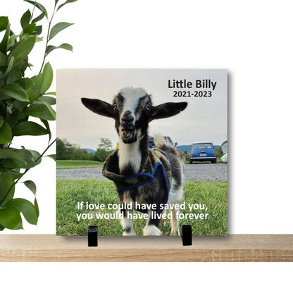 Goat Memorial - Goat Photo Keepsake - Pet Loss Gift - Personalized Photo Pet Memorial - Goat Memorial - Custom Photo Memorial