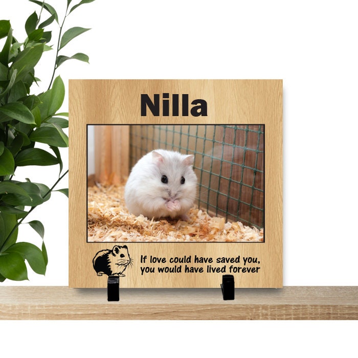 Hamster Photo Memorial - 8”x 8” Personalized Hamster Memorial - Background Choice -Loss of Hamster - Hamster Sympathy Gift