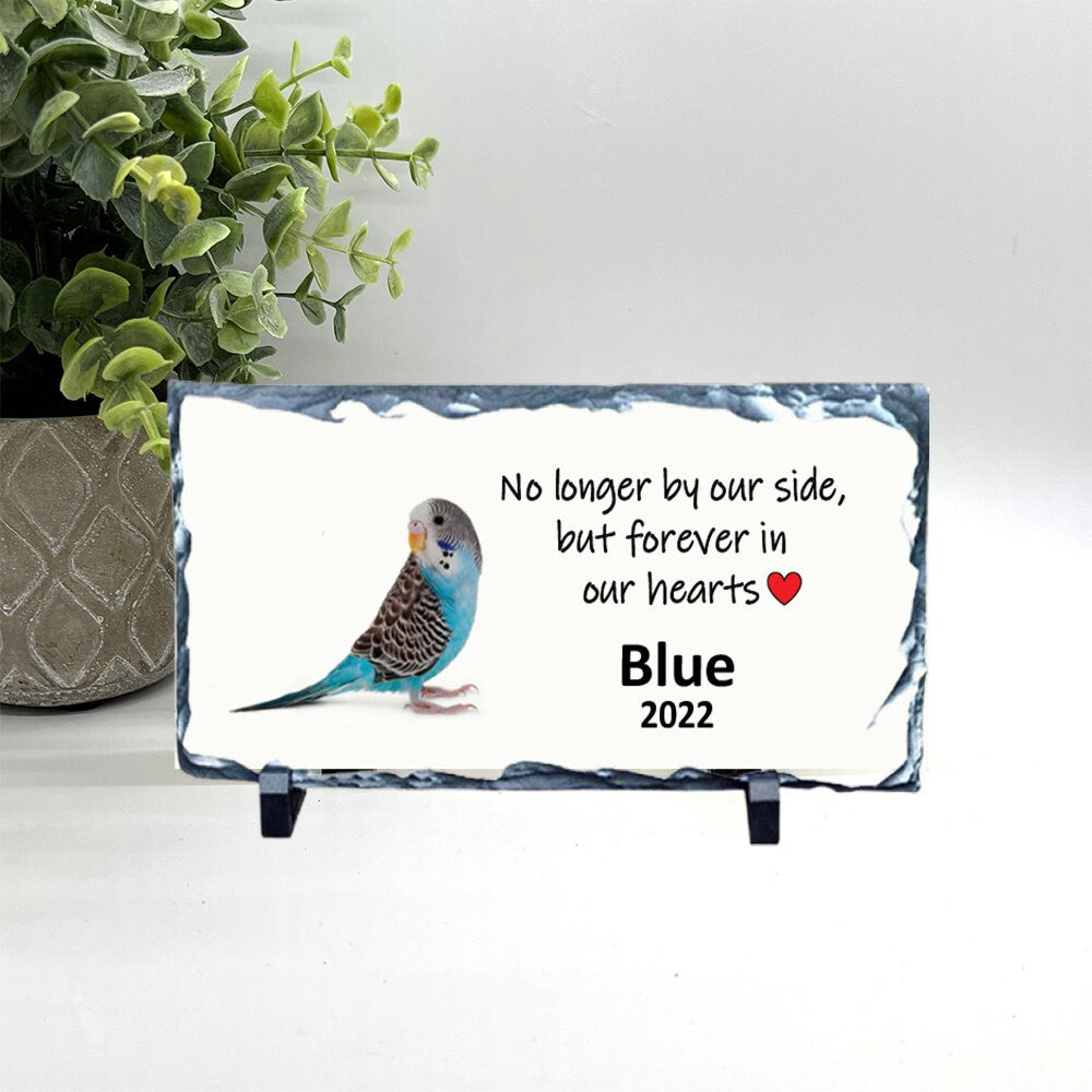 Parakeet Memorial Stone- Blue Parakeet Memorial - Personalized Bird Keepsake- Bird Sympathy Gift- Pet Loss Gift- Blue parakeet