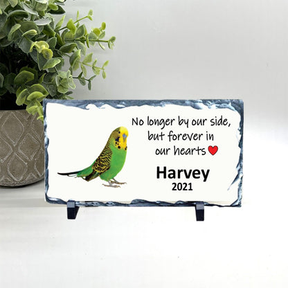 Parakeet Memorial Stone- Green Parakeet Memorial - Personalized Bird Keepsake- Bird Sympathy Gift- Pet Loss Gift- Green parakeet