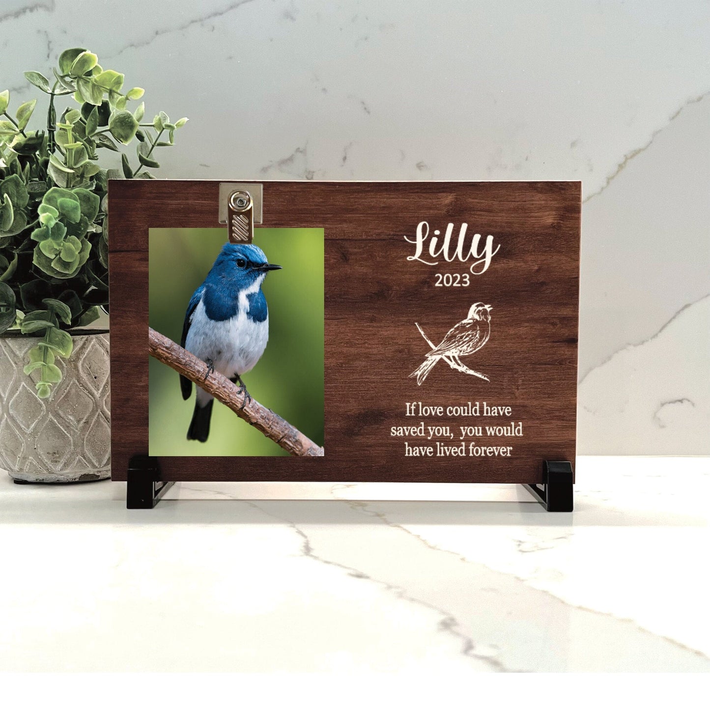 Bird Memorial Gift, Bird Memorial Frame, Pet Photo Memorial, Bird Loss Gift, Bird Keepsake, Remembrance Gift